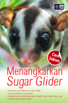 sugar glider 2